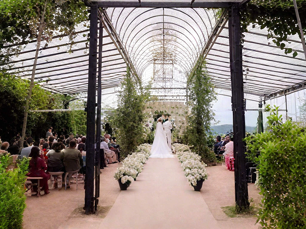 Large Glass Greenhouse Wedding Ysgh 168